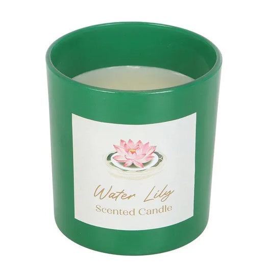 Water Lily Candle Gentleblushes