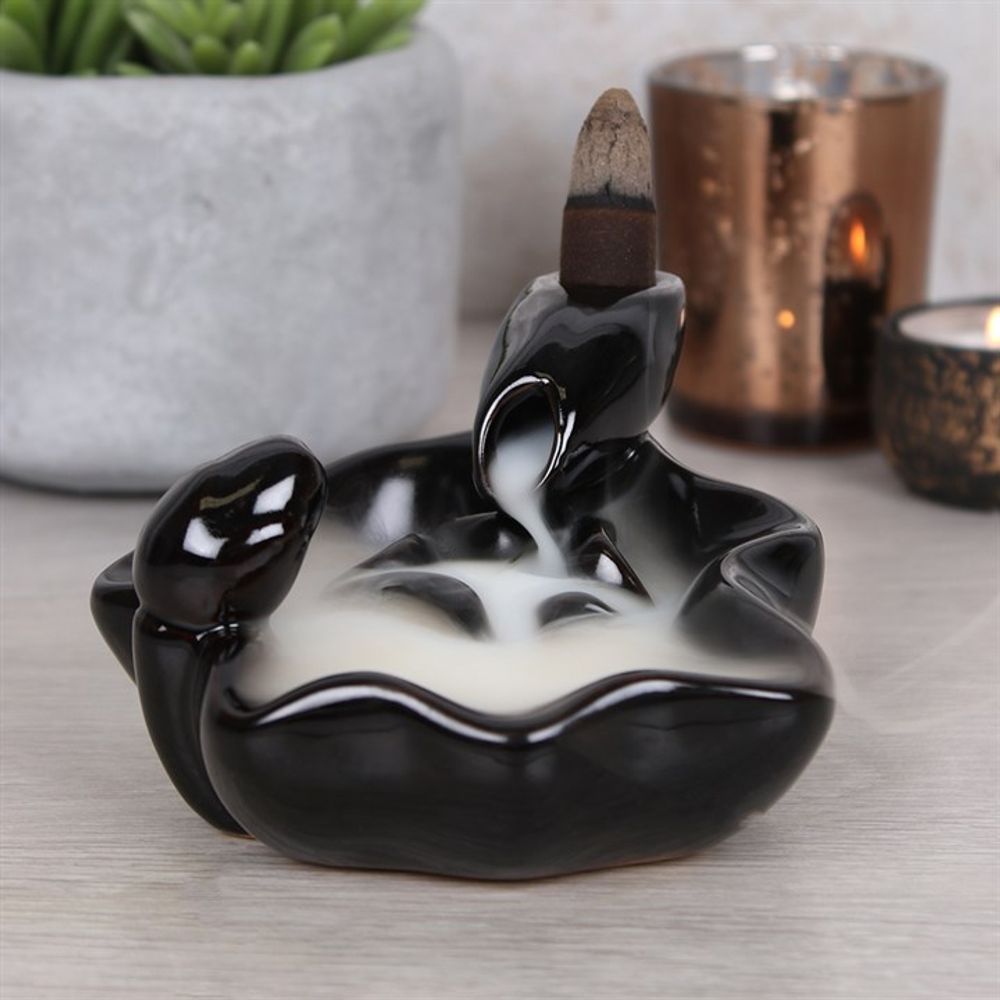 Pool to Pool Backflow Incense Burner